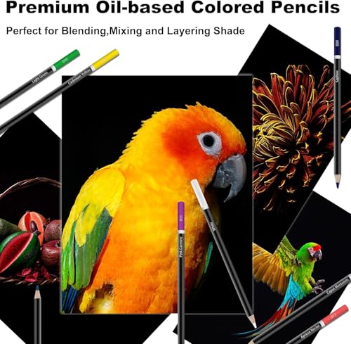 Corslet 75 Pc Pencil Colour Set 72 Colours Pack of 72 - Image 7