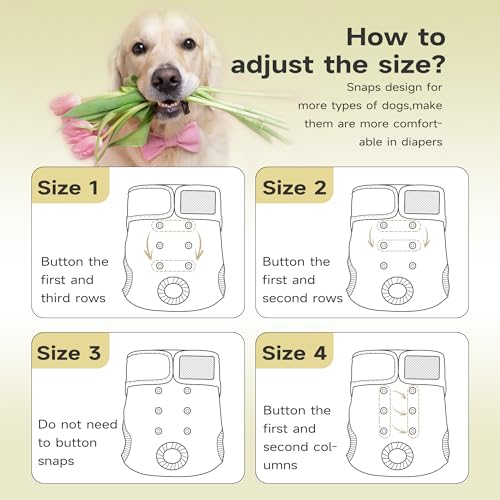 Image of Paw Legend Washable Reusable Female Dog Period Diapers for Heat Doggie Puppy Diapers for Female Dogs (3 Pack, Small)