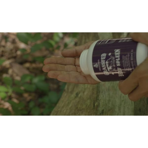 Ancestral-Supplements-Grass-Fed-Beef-Spleen-Desiccated--Immune-Allergy-Iron-5-Xs-More-Heme-Iron-Than-Liver Ancestral Supplements Grass Fed Beef Spleen Supplement, 3000mg Beef Organ Spleen Support Formula Promotes Digestive, Immune, Iron, Energy and Allergy Health, Non GMO, 180 Capsules