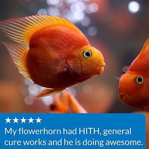 API GENERAL CURE Freshwater and Saltwater Fish Powder Medication 30-Ounce Bulk Box - Image 8