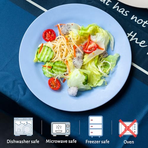 Orrdiffi Kunststoff Teller 25 cm Leichte Kunststoffplatten Unzerbrechliche Große Teller Mikrowellen und Spülmaschinenfest Speiseteller für Pizza,Pasta,Brot,Salat Plastikteller,Camping - Bunt