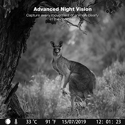Wildkamera 20MP 1080P Nachtsicht mit 3 Sensoren Bewegungsmelder zur Beobachtung, Wildtierkamera mit IP56 Wasserdicht – Bild 6
