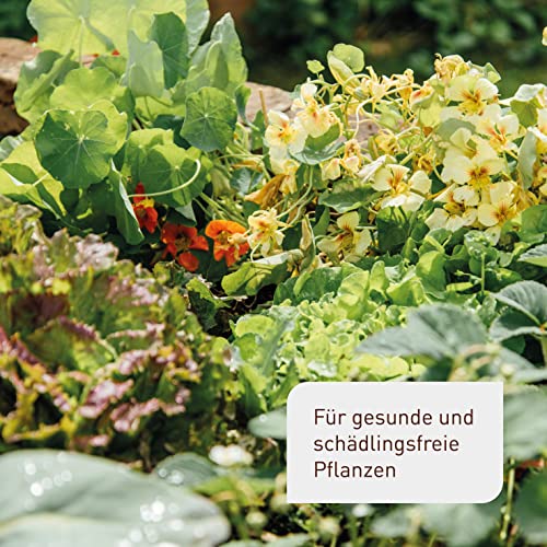 Plantura Bio-Schädlingsfrei Neem, effektive Schädlingsbekämpfung mit Neem, gegen Blattläuse, Thripse & Co. an Gemüse, Kräutern & Zierpflanzen, 75 ml Konzentrat für bis zu 25 L (300 m²)