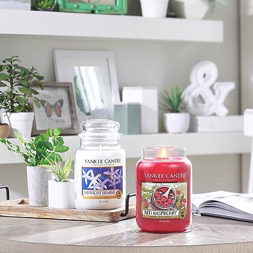 Yankee Candle Scented Candle | Midnight Jasmine Large Jar Candle | Long Burning Candles: up to 150 Hours | Gifts for Women Yankee Candle Scented Candle | Midnight Jasmine Large Jar Candle | Long Burning Candles: up to 150 Hours | Gifts for Women