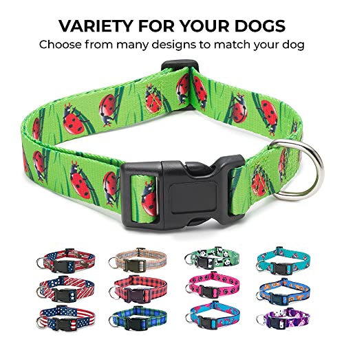 American Flag Dog Collar In 5 Different Sizes Classic (X-Large) #TOP4