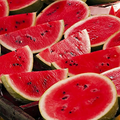 40 Mixed Colors Watermelon Seeds For Planting Fresh Fruit Seeds For Planting #TOP4