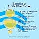 Arctic Blue Omega 3 Fischöl – 250 ml flüssig – MSC-Zertifiziert - hochdosiert mit DHA, EPA und Vitamin D – ohne Aufstoßen oder Fischgeruch – arktisches Fischöl – Orangengeschmack