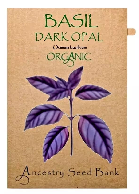 Organic Basil ❁ Dark Opal ❁ 200 Seeds Heirloom Herb - Non GMO