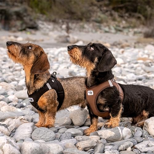 Vest Harness curli Clasp Softshell Black XS