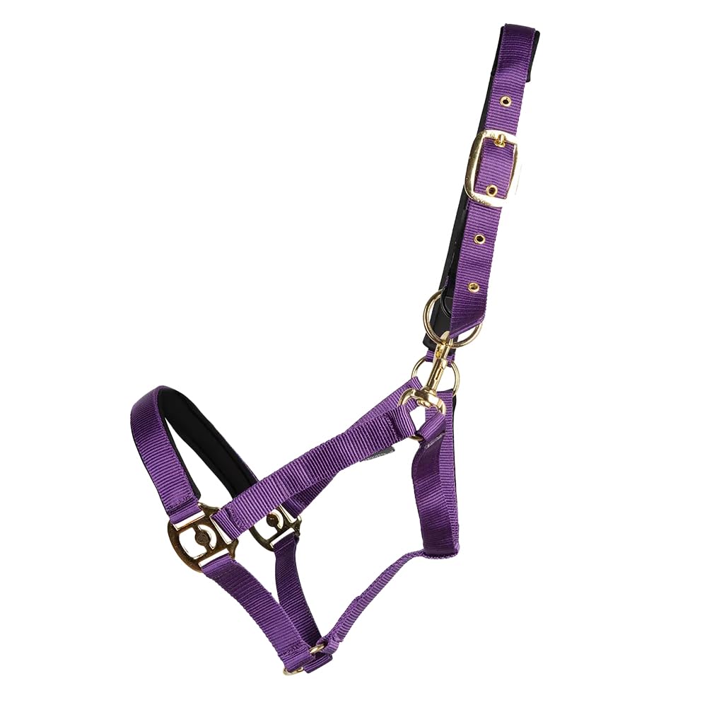 Hy Fieldsafe Horse Headcollar (Pony) (Purple)