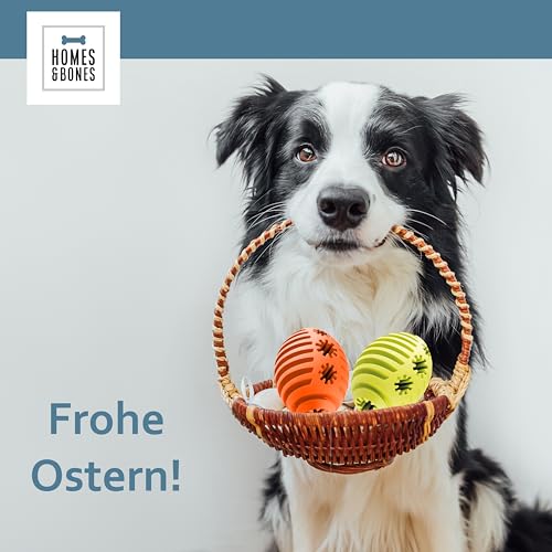 Homes&Bones Doggy Egg Hundespielzeug befüllbar aus Naturkautschuk zur Hundebeschäftigung als Futterball & Intelligenzspielzeug für mittlere bis große Hunde grün