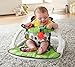 Fisher-Price Portable Baby Chair Sit-Me-Up Floor Seat with Developmental Toys and Crinkle & Squeaker Seat Pad, Panda Paws