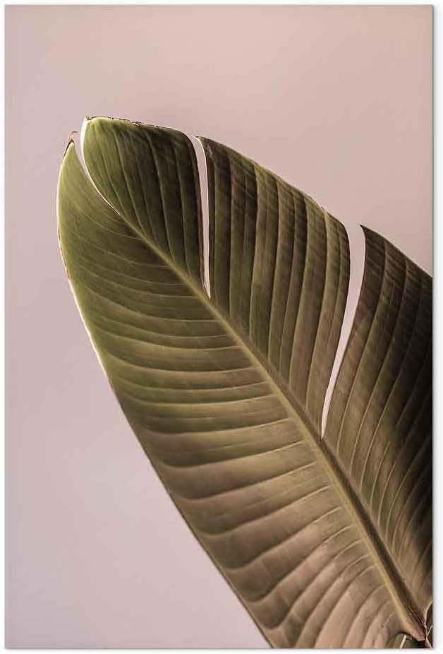 artgeist Acoustic Canvas Wall Art Print Leaves 24x35 in - 1pcs Picture with Acoustic Foam Sound Print Artwork Room Acoustics Soundproofing Nature Botanic Plants b-B-0501-b-a