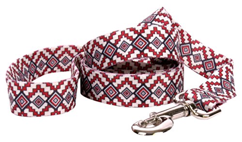 Image of Yellow Dog Design Standard Lead, Aztec Red, 1 inch x 60 inch (5 ft.)