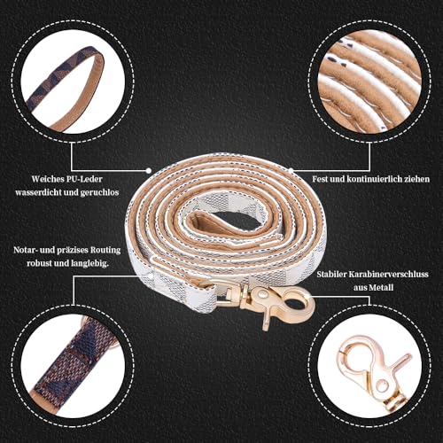 Viwind Hundehalsband Leder Verstellbares Leine Set 1.5/2cm Weiches Leder Geeignet für Katzen und Hunde (Weiß -Leine, 2cm-120cm)