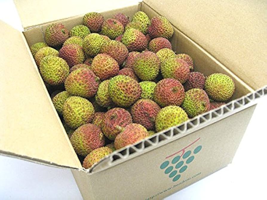 Amazon.co.jp: 【最終入荷】妃子笑 緑ライチ 生ライチ 3kg