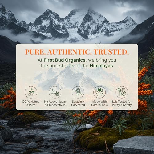 Image of Organic Sea Buckthorn Juice Concentrate 300ml | Antioxidant Rich Immunity Booster | Skin Glow & Hair Health Drink