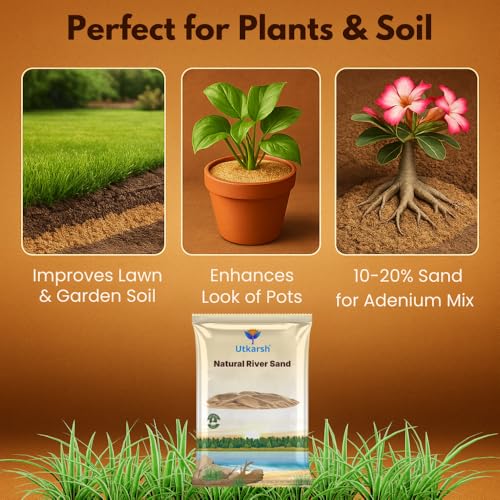 Image of Utkarsh Natural River Sand (Substrate Pure Organic Plants Soil Mix Additive, Plants Gardening | River Sand for Aquarium | for Cactus Succulent Bonsai| Home Decor) (5 Kg; Pack of 1)