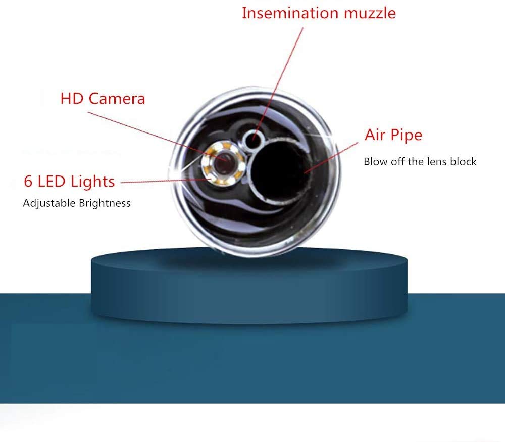 iDili Professional Dogs/Sheep/Cow Visual Insemination Gun- Animal Artificial Insemination Tools Dog Endoscope Veterinary Equipment (for Dogs)