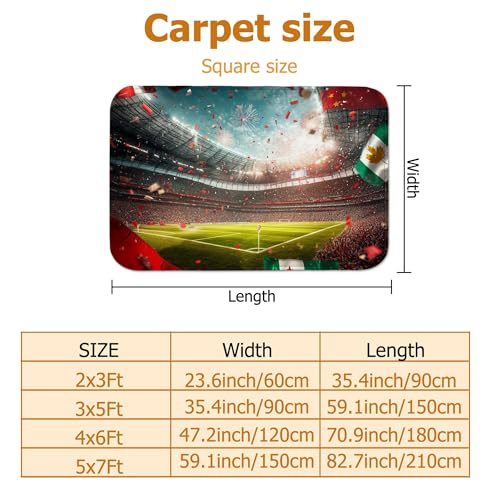Tapis de stade rectangulaire esthétique haute densité pour entrée - 3