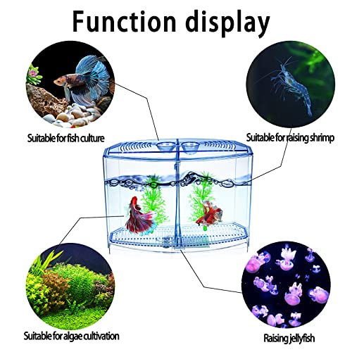 Mini aquário de peixes com divisória, pequeno aquário beta de camarão, aquário pequeno, tanque tempo