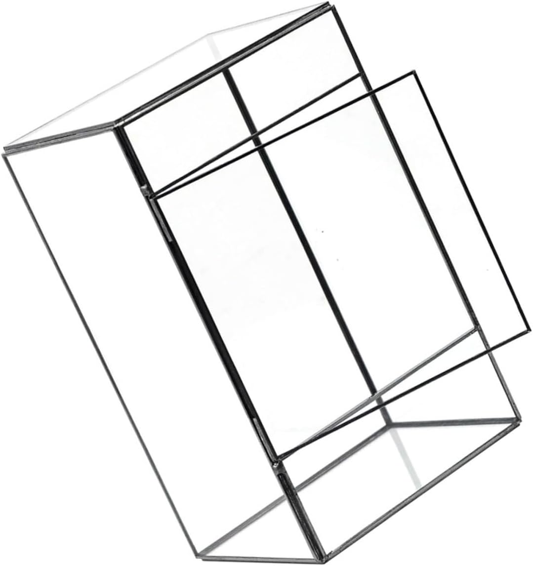 Plant Terrarium Glass Container for Miniature Landscapes Indoor Planter Geometric Display for