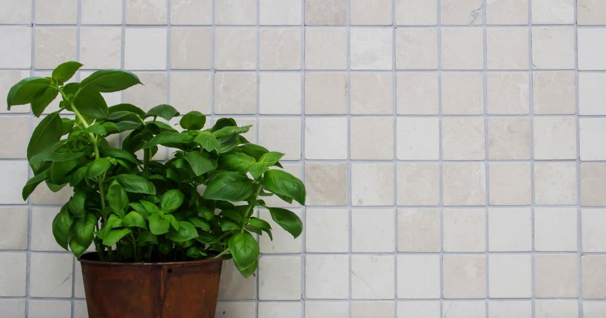 mosaico piastrelle di rete parete boticino marmo pietra naturale cucina specchio da parete Ver Blender
