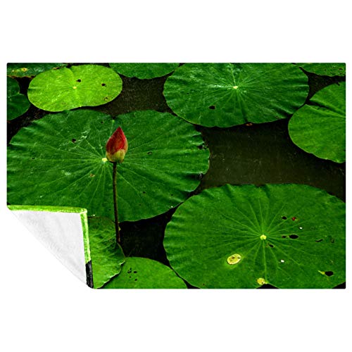 Couverture douce imprimé lotus pour des moments cocooning - 2