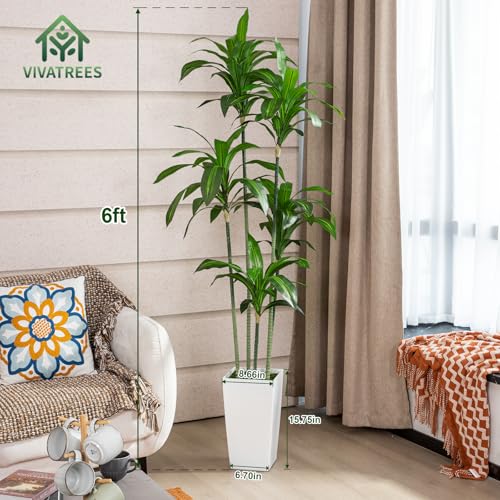Dracaena-Trees-Artificial-Indoor-6FT-Tall-Faux-Tree-with-White-Tall-Planter-Artificial-Plants-with-Natural-Wood-Trunk-and-Lifelike-Leaves-for-Home-Office-Decor Dracaena Trees Artificial Indoor 6FT Tall Faux Tree with White Tall Planter Artificial Plants with Natural Wood Trunk and Lifelike Leaves for Home Office Decor