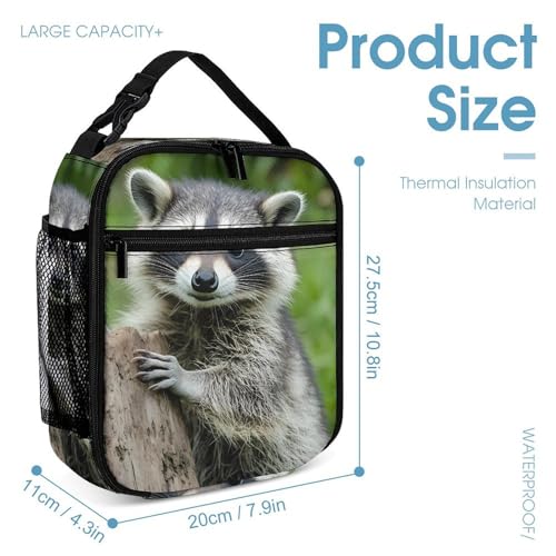 Cute Raccoon 3 PCS Backpack Set Casual Daypack with Insulated Lunch Bag & Pencil Case4