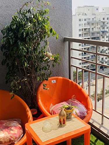 Image of Tub Chairs /ARM Chairs /Chairs for Home, Living Room /Indoor and Outdoor Chairs with Complimentary Cushions Set of 02 (Orange)