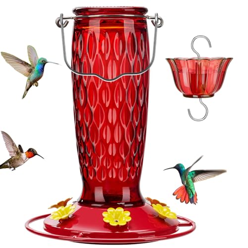 Kingsyard Hummingbird Feeders for Outdoors Hanging, 24 Ounce, Glass Hummingbird Feeder with Ant Moat & 6 Bee Guard Feeding Ports, Leak-Proof, Red