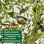8FT Artificial Olive Tree Indoor with Pot - Realistic Wood Trunk & Fruits, Extra Large Faux Plant for Home Office Décor, Tall Fake Olive Tree 8-Foot with Moss White Planter - Image 3