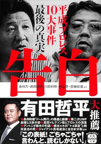 HAO 前田日明 専用】 前田日明 フィギュア HAO - メルカリ