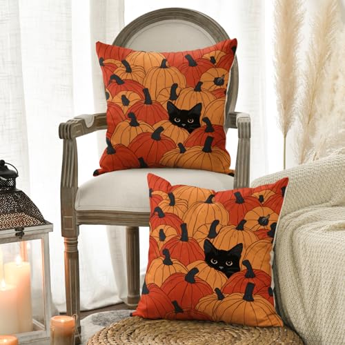 Coussin automne chat noir pour une déco de ferme chaleureuse
