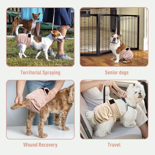 Image of Washable Reusable Female Dog Diapers(5 Pack) Small Medium Large Doggie Puppy & Doggy Dog Diaper, Period Panties in Heat XX-Large Pink Purple Brown Green Blue