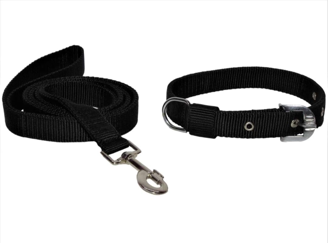 Aviean International Dog Belt and Leash Specially for Small and Medium Breeds 0.75 Inches Width (Waterproof, Small, Leash Size 1.5M-2M) (Black) (B0CH1M17Q8) Amazon Price History, Amazon Price Tracker