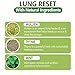 Lung Detox Mullein Diffuser Pen | Natural Mullein Leaf | Lung Health & Detox | Herbal Mullein Diffuser Pen 600 Uses - 2 - Pack