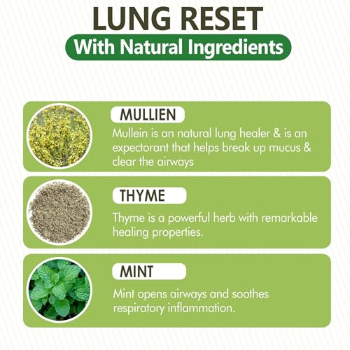 lung detox mullein diffuser pen  natural mullein leaf  lung health amp detox  herbal mullein diffuser pen 600 uses