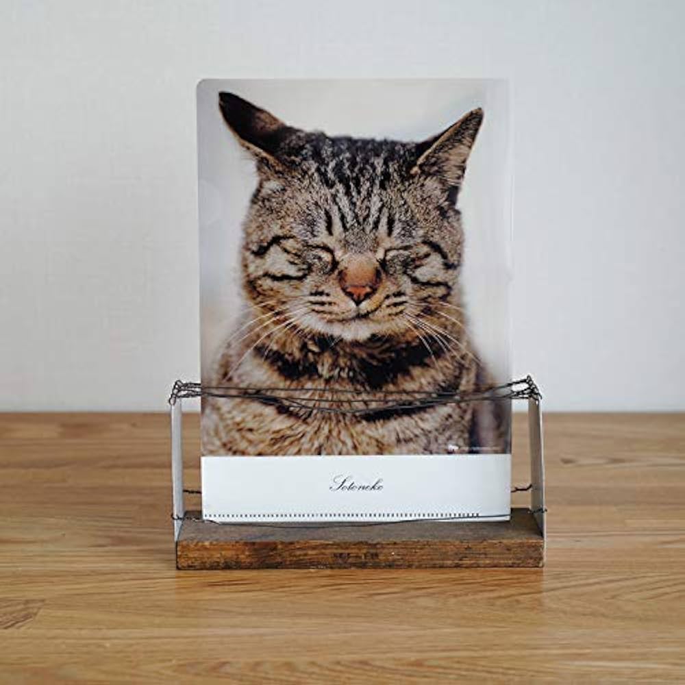 猫イラスト付きクリアポーチ A5サイズ 540_7417.jpg