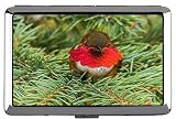Hard Box Full Pack Zigarettenetui, Ellens Hummingbird Hummingbird Hard Box und Halter (King Size)