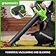 Greenworks 40V Akku Laubsauger / Laubbläser mit bürstenlosem Motor, 370 km/h, 14.17m³/min, 45L Fangsack ，OHNE Akku & Ladegerät, 3 Jahre Garantie GD40BVII, Green, Grey, Black