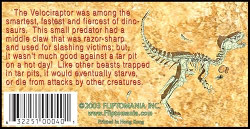 Image of Dinosaur Flipbook 3-Pack for Kids 6-12, Animation Flip Books for Children | T. Rex, Velociraptor & Pteranodon on Flip Book Paper, Educational STEM Flipbook Set for Boys & Girls, Animated Paleontology