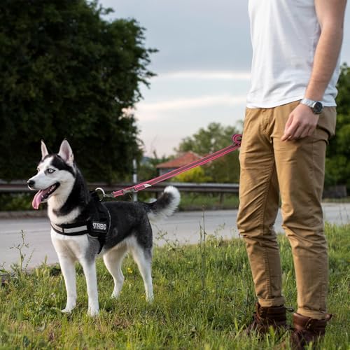 Wisedog 3m Rosa doppelendige gummierte Hundeleine Leichtgewichtige Hands Free Leine für Hund rutschfeste Hands Free Hundeleine Fit für Spaziergänge Laufen Camping