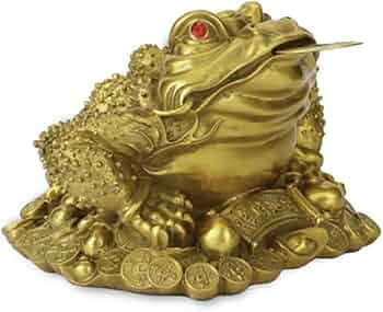 51t3CpA6x7L._AC_UF350,