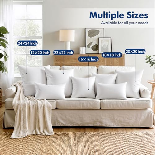 MIULEE Set of 4 Throw Pillow Inserts 20x20 Inches, 100% Virgin Filling Nowoven Pillow Inserts for Couch Sofa Living Room