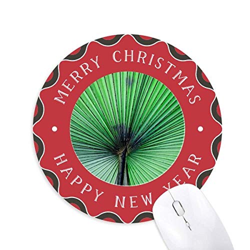 ʐ^̐VNȗt̉摜̐ ~`S̃NX}X}EXpbh