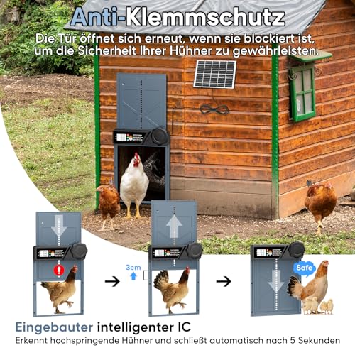 CHAMUTY Große Automatische Hühnerklappe Solar, Elektrische Hühnerklappe Automatisch mit Timer, 7W Solarpanel, LCD Display, Fernbedienung, Automatische Hühnerstalltür Hühnertür, Einklemmschutz