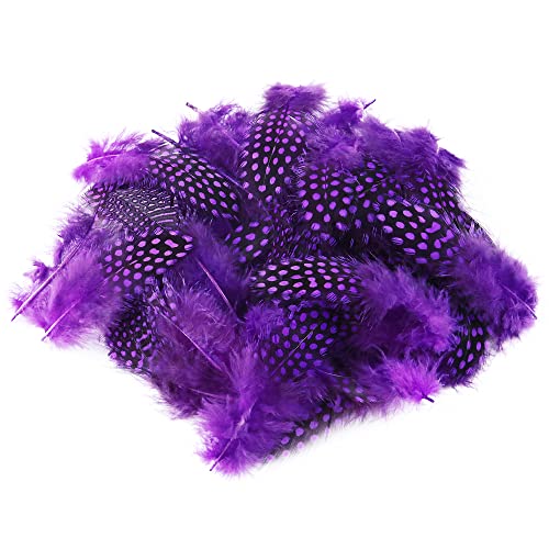 Natural Feathers Colorful Pheasant Feathers Fluffy Guinea Fowl Feather Diy Craft Accessories Handwork Costumes Hair Hats Dream Catcher Creative Art Supplies For Wedding Home Party Decorations 100Pcs #TOP26