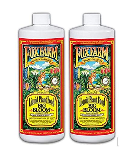 FoxFarm FX14002 Big Bloom Concentrado líquido, 1 cuarto (.2 unidades)